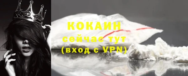 сатива Лабытнанги