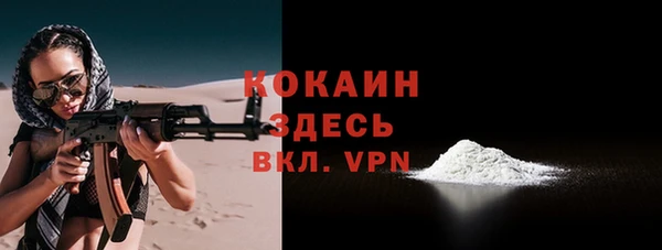 сатива Лабытнанги
