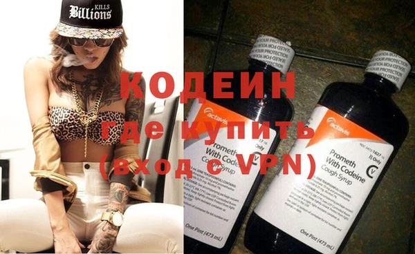 сатива Лабытнанги