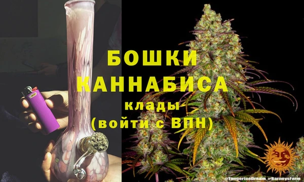 сатива Лабытнанги