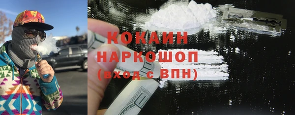 сатива Лабытнанги