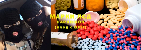 сатива Лабытнанги