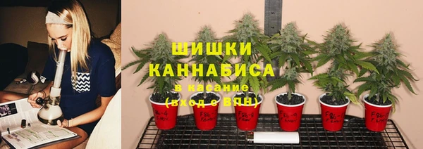 кокс Липки