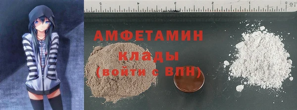 сатива Лабытнанги